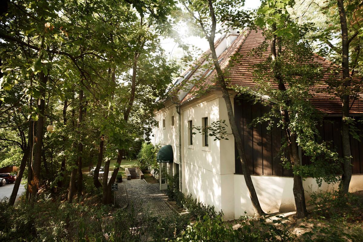 Bed and Breakfast Alter Winzerkeller Kirchberg am Wagram Esterno foto